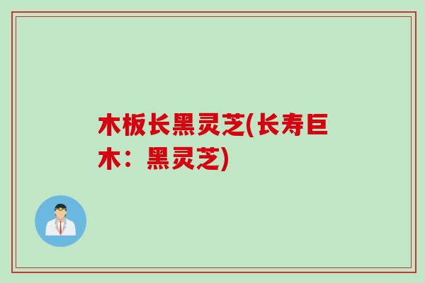 木板长黑灵芝(长寿巨木:黑灵芝) 木板长黑灵芝(长寿巨木:黑灵芝)