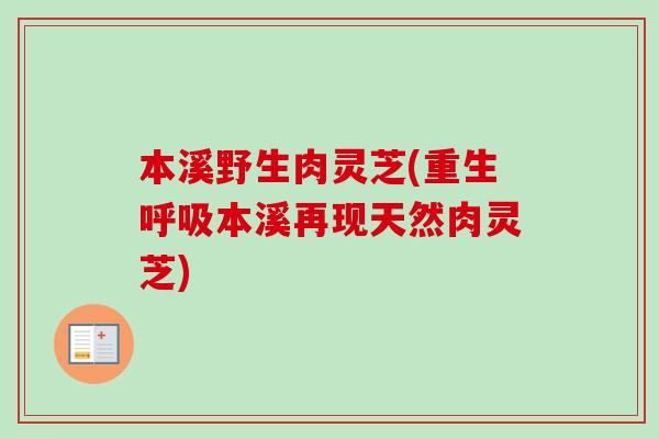 本溪野生肉灵芝(重生呼吸本溪再现天然肉灵芝)