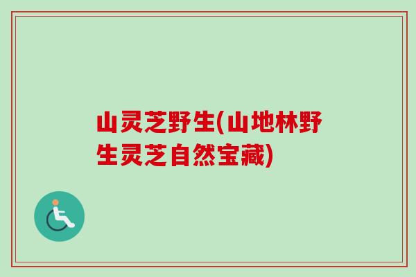 山灵芝野生(山地林野生灵芝自然宝藏)