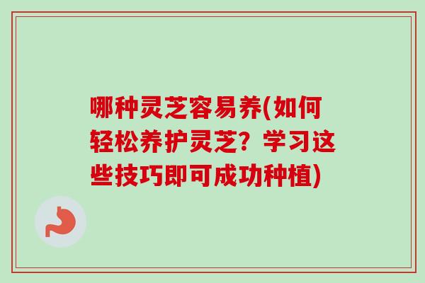 哪种灵芝容易养(如何轻松养护灵芝？学习这些技巧即可成功种植)