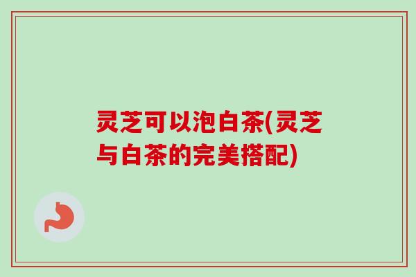 灵芝可以泡白茶(灵芝与白茶的完美搭配)