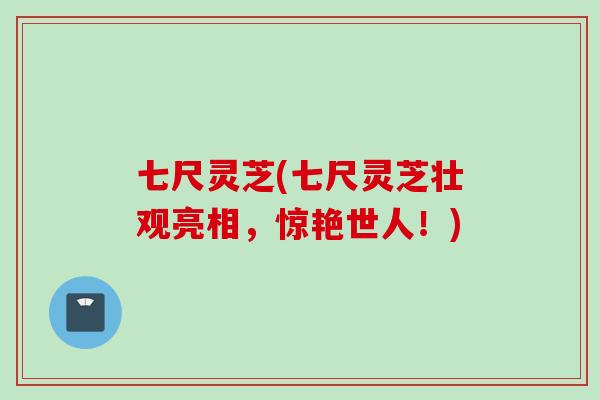 七尺灵芝(七尺灵芝壮观亮相，惊艳世人！)