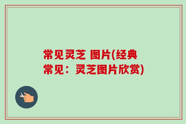 常见灵芝 图片(经典常见：灵芝图片欣赏)