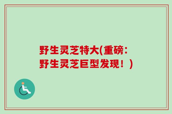野生灵芝特大(重磅：野生灵芝巨型发现！)