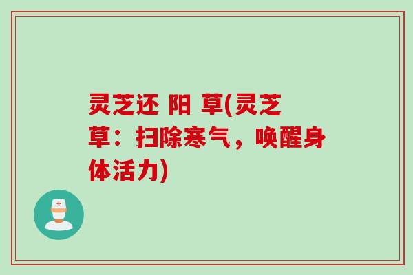 灵芝还 阳 草(灵芝草：扫除寒气，唤醒身体活力)