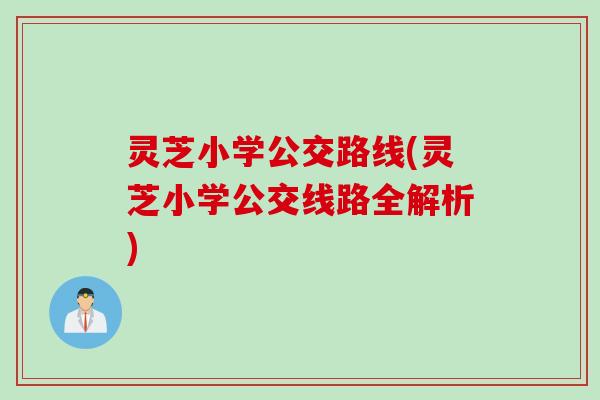 灵芝小学公交路线(灵芝小学公交线路全解析)