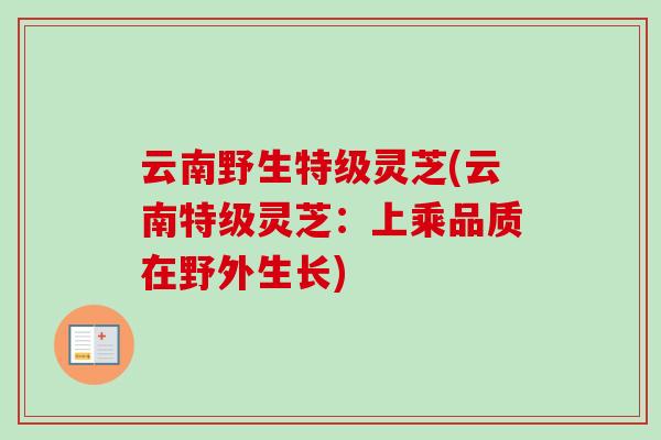 云南野生特级灵芝(云南特级灵芝：上乘品质在野外生长)