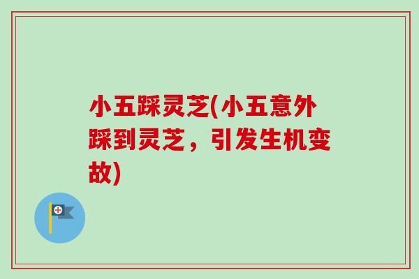 小五踩灵芝(小五意外踩到灵芝，引发生机变故)