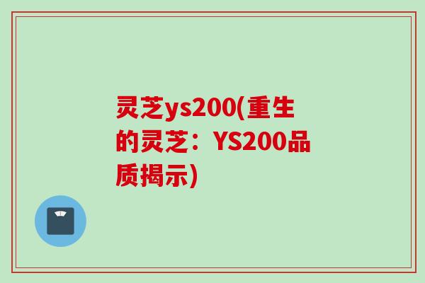 灵芝ys200(重生的灵芝：YS200品质揭示)