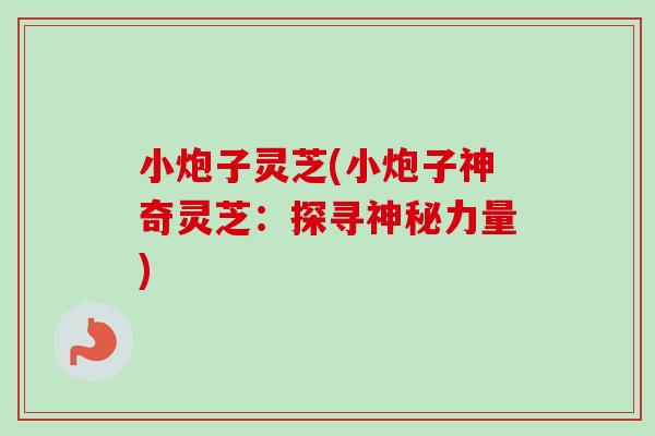 小炮子灵芝(小炮子神奇灵芝：探寻神秘力量)