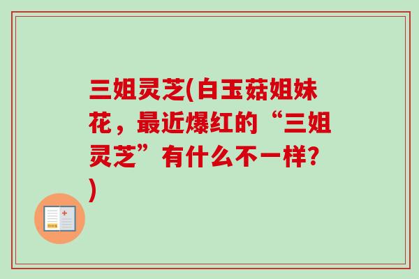 三姐灵芝(白玉菇姐妹花，最近爆红的“三姐灵芝”有什么不一样？)