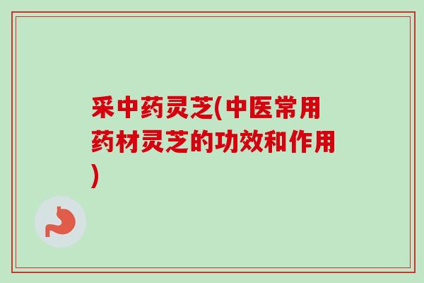 采中药灵芝(中医常用药材灵芝的功效和作用)