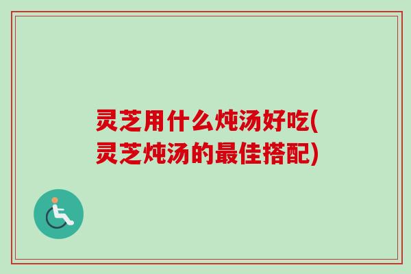 灵芝用什么炖汤好吃(灵芝炖汤的最佳搭配)