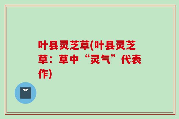 叶县灵芝草(叶县灵芝草：草中“灵气”代表作)