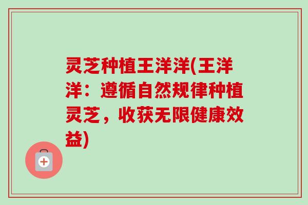 灵芝种植王洋洋(王洋洋：遵循自然规律种植灵芝，收获无限健康效益)