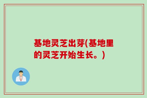 基地灵芝出芽(基地里的灵芝开始生长。)