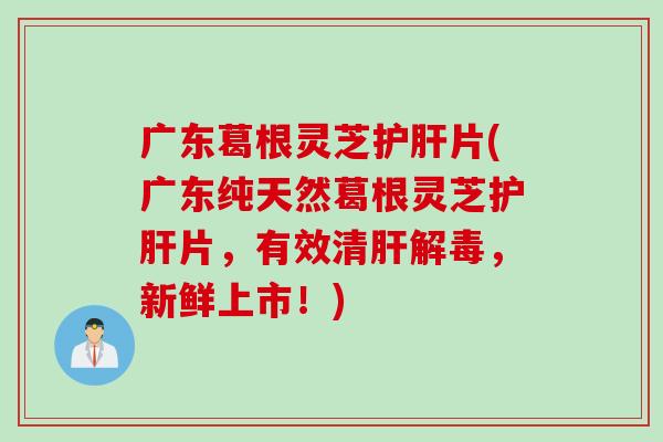 广东葛根灵芝护肝片(广东纯天然葛根灵芝护肝片，有效清肝解毒，新鲜上市！)