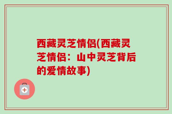 西藏灵芝情侣(西藏灵芝情侣：山中灵芝背后的爱情故事)