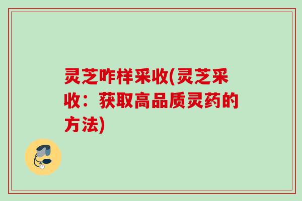 灵芝咋样采收(灵芝采收：获取高品质灵药的方法)