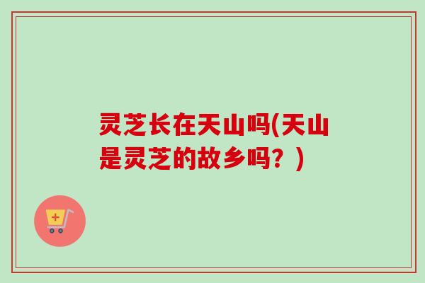 灵芝长在天山吗(天山是灵芝的故乡吗？)
