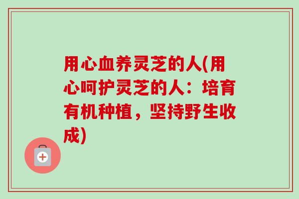 用心养灵芝的人(用心呵护灵芝的人:培育有机种植,坚持野生收成) 用心养灵芝的人(用心呵护灵芝的人:培育有机种植,坚持野生收成)