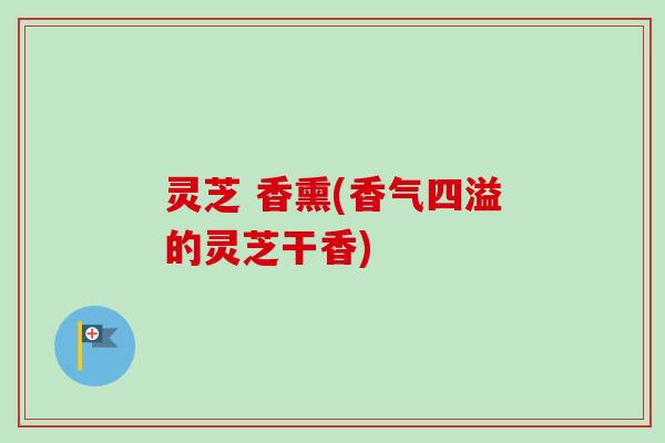 灵芝 香熏(香气四溢的灵芝干香)