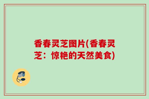 香春灵芝图片(香春灵芝：惊艳的天然美食)
