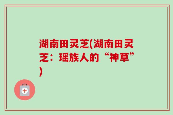 湖南田灵芝(湖南田灵芝：瑶族人的“神草”)