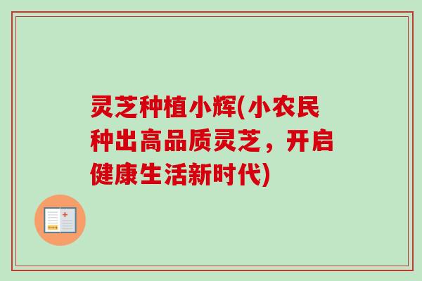 灵芝种植小辉(小农民种出高品质灵芝，开启健康生活新时代)