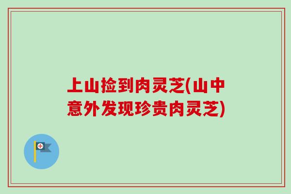 上山捡到肉灵芝(山中意外发现珍贵肉灵芝)