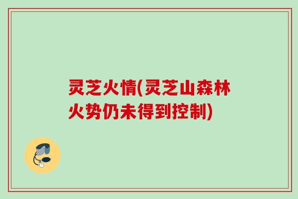 灵芝火情(灵芝山森林火势仍未得到控制)
