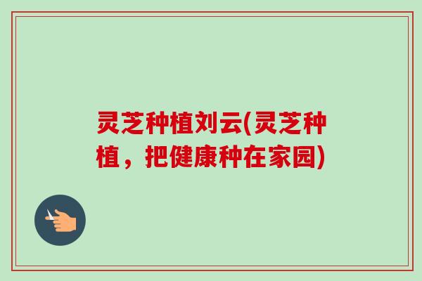 灵芝种植刘云(灵芝种植，把健康种在家园)