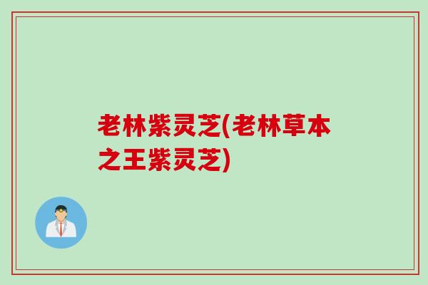 老林紫灵芝(老林草本之王紫灵芝)