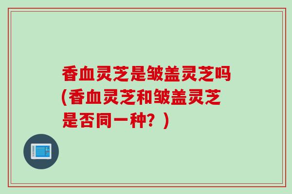 香血灵芝是皱盖灵芝吗(香血灵芝和皱盖灵芝是否同一种？)