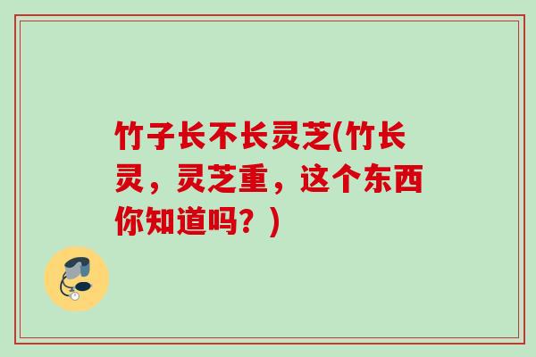 竹子长不长灵芝(竹长灵，灵芝重，这个东西你知道吗？)