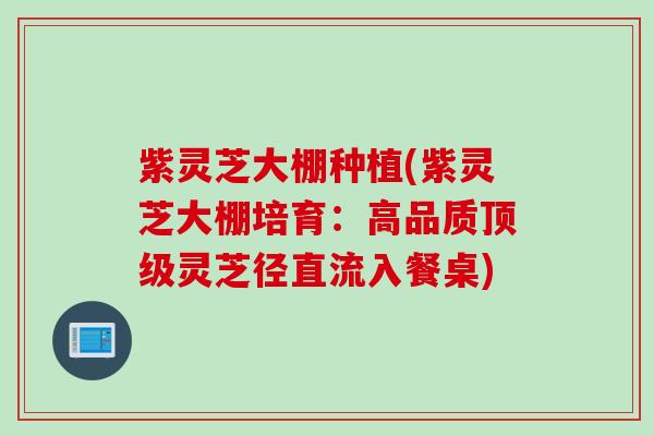 紫灵芝大棚种植(紫灵芝大棚培育：高品质顶级灵芝径直流入餐桌)