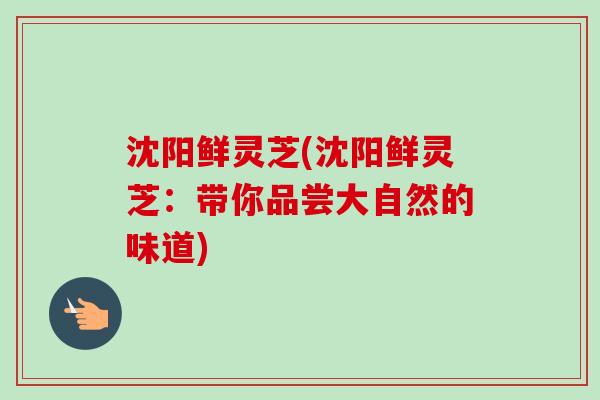 沈阳鲜灵芝(沈阳鲜灵芝：带你品尝大自然的味道)