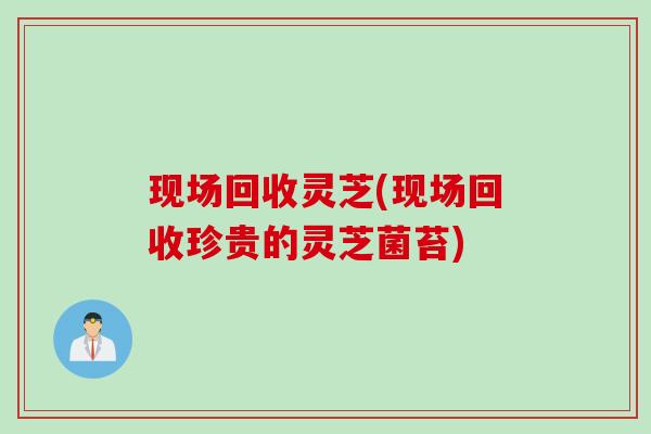 现场回收灵芝(现场回收珍贵的灵芝菌苔)