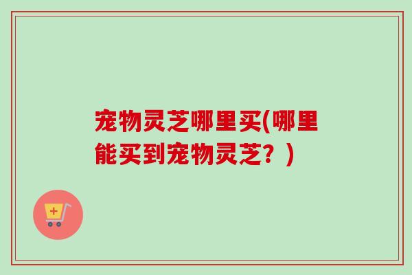 宠物灵芝哪里买(哪里能买到宠物灵芝？)