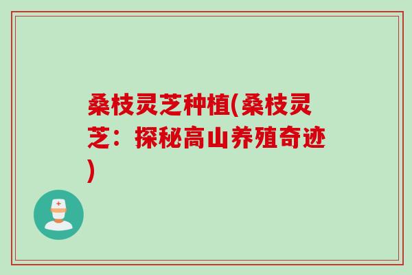 桑枝灵芝种植(桑枝灵芝：探秘高山养殖奇迹)