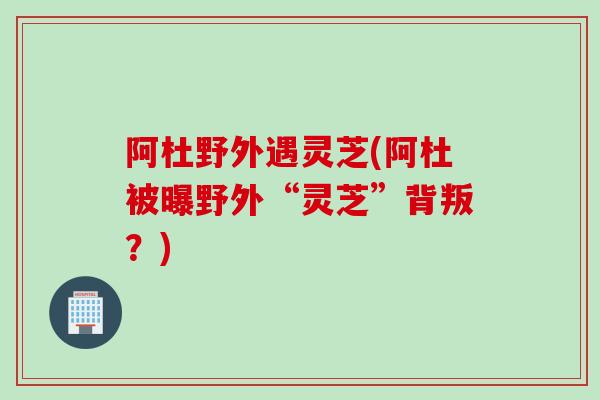阿杜野外遇灵芝(阿杜被曝野外“灵芝”背叛？)