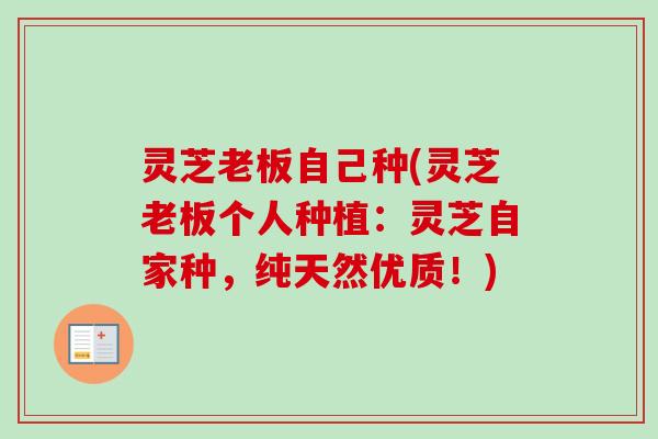 灵芝老板自己种(灵芝老板个人种植：灵芝自家种，纯天然优质！)