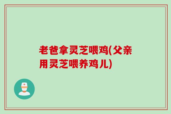 老爸拿灵芝喂鸡(父亲用灵芝喂养鸡儿)