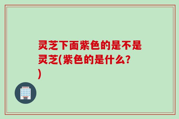 灵芝下面紫色的是不是灵芝(紫色的是什么？)