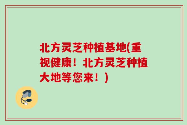 北方灵芝种植基地(重视健康!北方灵芝种植大地等您来!) 北方灵芝种植基地(重视健康!北方灵芝种植大地等您来!)