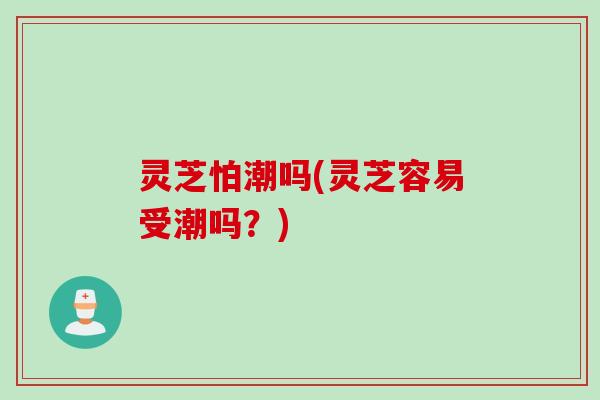 灵芝怕潮吗(灵芝容易受潮吗？)