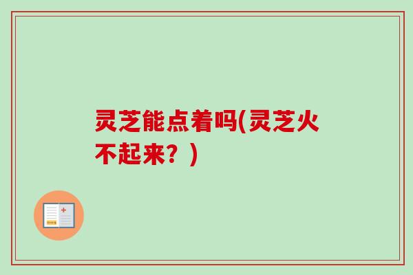 灵芝能点着吗(灵芝火不起来？)