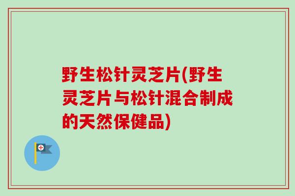 野生松针灵芝片(野生灵芝片与松针混合制成的天然保健品)