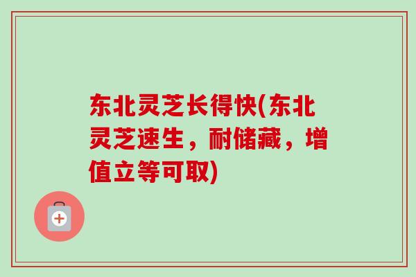东北灵芝长得快(东北灵芝速生，耐储藏，增值立等可取)