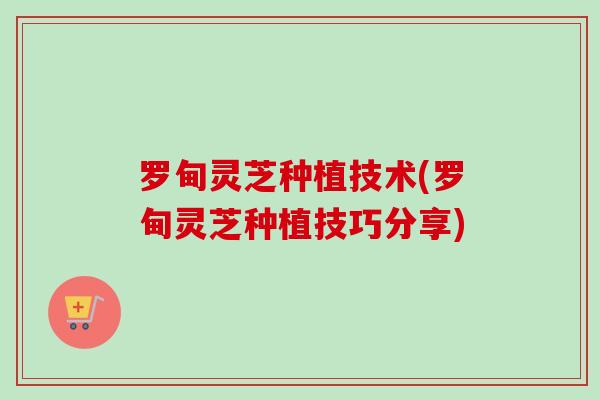 罗甸灵芝种植技术(罗甸灵芝种植技巧分享)